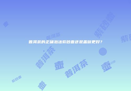 普洱茶的正确泡法紫砂壶还是盖碗更好？