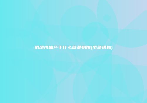 凤凰水仙产于什么省潮州市(凤凰水仙)