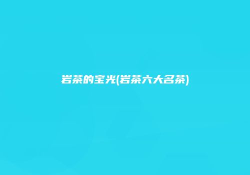岩茶的宝光(岩茶六大名茶)