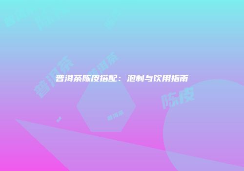 普洱茶陈皮搭配：泡制与饮用指南