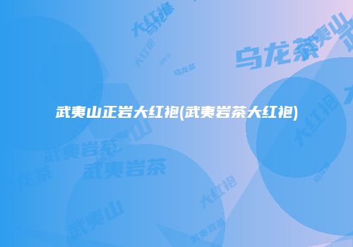 武夷山正岩大红袍(武夷岩茶大红袍)