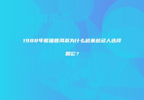 1988年熊猫普洱茶为什么越来越多人选择喝它？