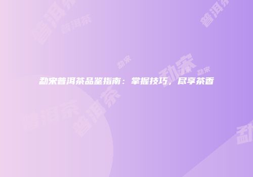 勐宋普洱茶品鉴指南：掌握技巧，尽享茶香