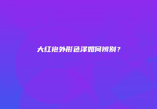 大红袍外形色泽如何辨别？