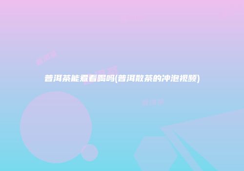 普洱茶能煮着喝吗(普洱散茶的冲泡视频)