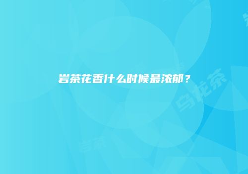 岩茶花香什么时候最浓郁？