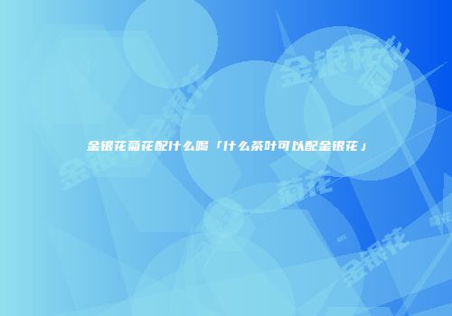 金银花菊花配什么喝「什么茶叶可以配金银花」