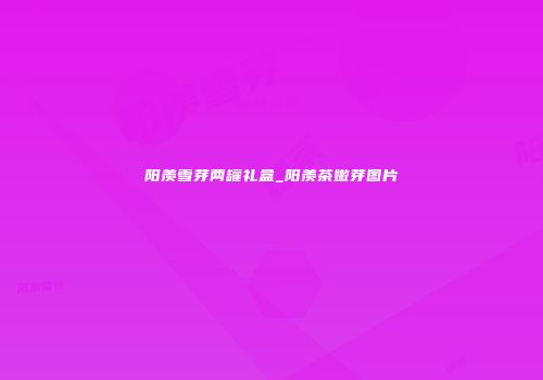 阳羡雪芽两罐礼盒_阳羡茶嫩芽图片