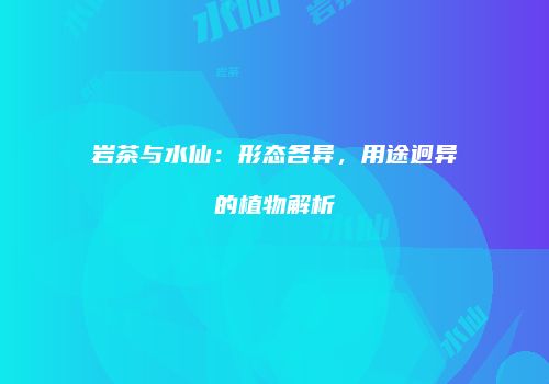 岩茶与水仙：形态各异，用途迥异的植物解析