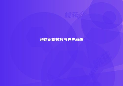 桃花水培技巧与养护解析