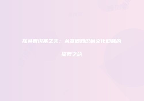 探寻普洱茶之美：从基础知识到文化韵味的探索之旅