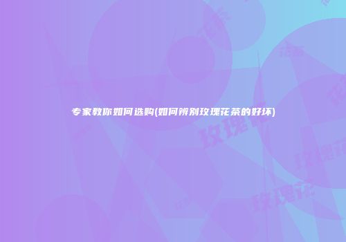专家教你如何选购(如何辨别玫瑰花茶的好坏)