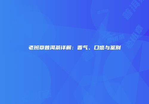 老班章普洱茶详解：香气、口感与鉴别
