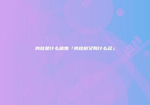 肉桂是什么植物「肉桂树又叫什么名」