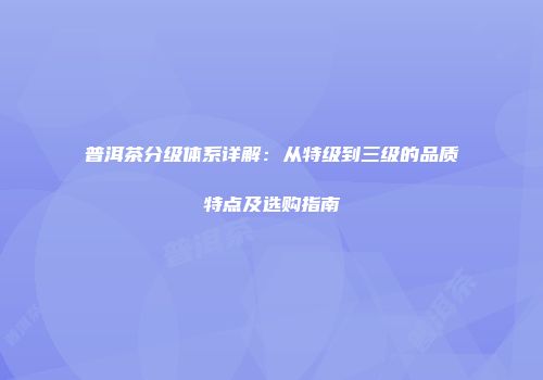 普洱茶分级体系详解：从特级到三级的品质特点及选购指南
