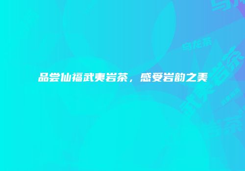 品尝仙福武夷岩茶，感受岩韵之美