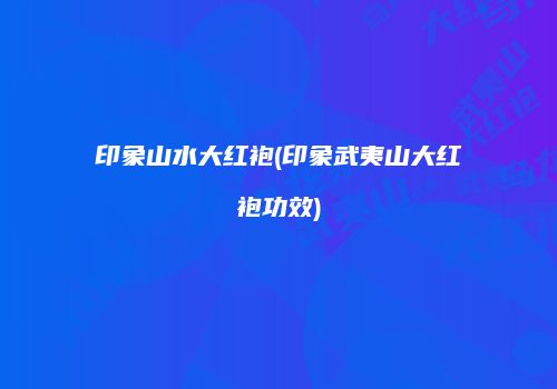 印象山水大红袍(印象武夷山大红袍功效)