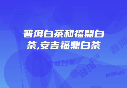 普洱白茶和福鼎白茶,安吉福鼎白茶
