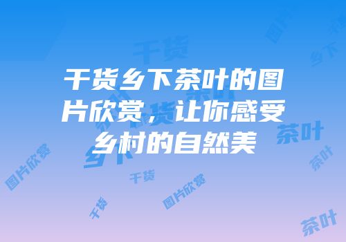 干货乡下茶叶的图片欣赏，让你感受乡村的自然美