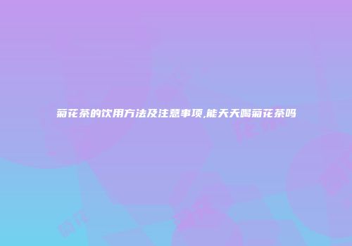 菊花茶的饮用方法及注意事项,能天天喝菊花茶吗