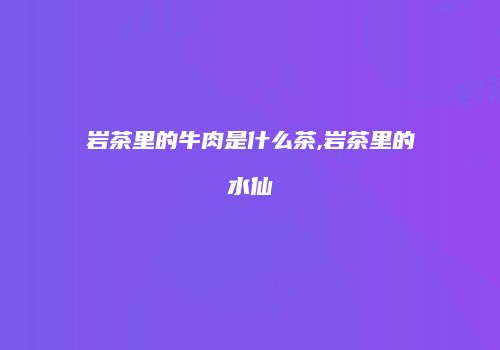 岩茶里的牛肉是什么茶,岩茶里的水仙