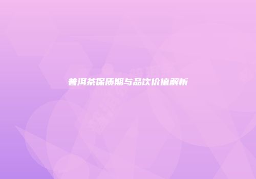 普洱茶保质期与品饮价值解析