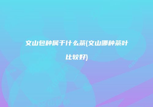 文山包种属于什么茶(文山哪种茶叶比较好)