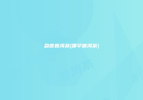 勐舍普洱茶(哪罕普洱茶)