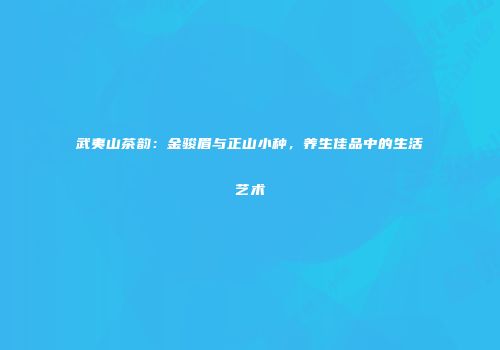 武夷山茶韵：金骏眉与正山小种，养生佳品中的生活艺术