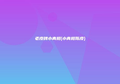 老皮牌小青柑(小青柑陈皮)