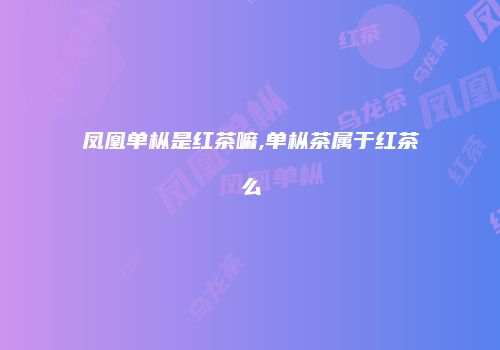 凤凰单枞是红茶嘛,单枞茶属于红茶么