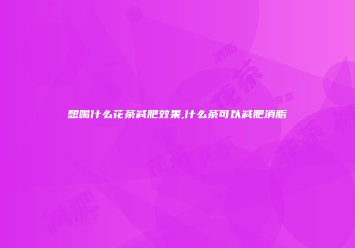 想喝什么花茶减肥效果,什么茶可以减肥消脂