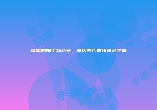 苗簇姑娘手摘新茶，鲜活照片展现采茶之美