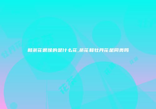 和茶花很像的是什么花,茶花和牡丹花是同类吗
