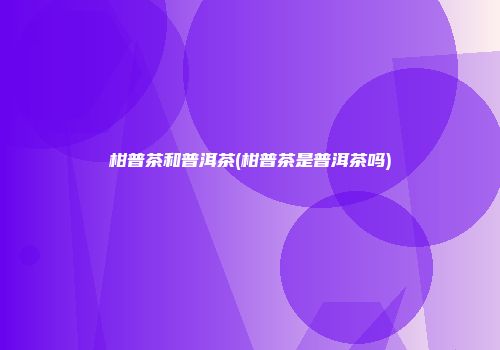 柑普茶和普洱茶(柑普茶是普洱茶吗)