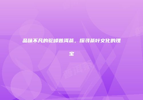 品味不凡的驼峰普洱茶，探寻茶叶文化的瑰宝