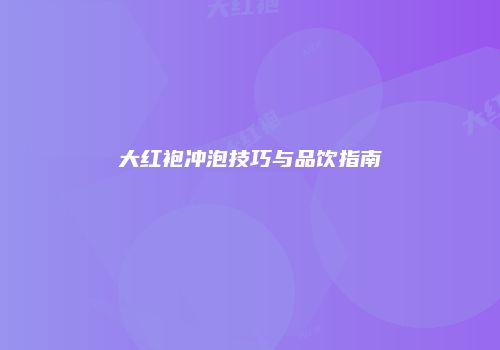 大红袍冲泡技巧与品饮指南