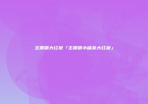 王顺明大红袍「王顺明小罐茶大红袍」