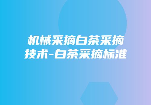 机械采摘白茶采摘技术-白茶采摘标准