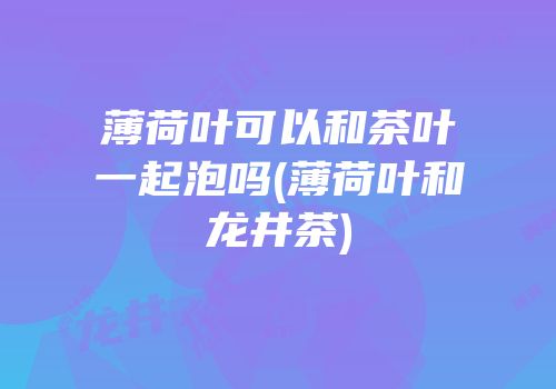 薄荷叶可以和茶叶一起泡吗(薄荷叶和龙井茶)