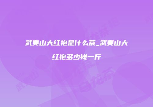 武夷山大红袍是什么茶_武夷山大红袍多少钱一斤