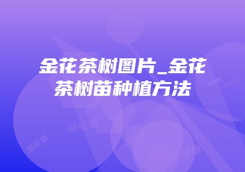 金花茶树图片_金花茶树苗种植方法