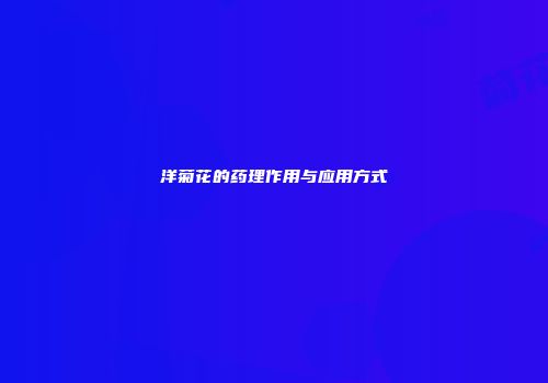 洋菊花的药理作用与应用方式