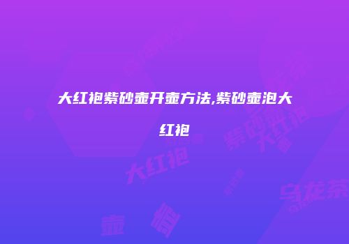 大红袍紫砂壶开壶方法,紫砂壶泡大红袍