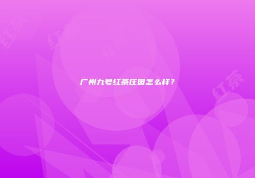 广州九号红茶庄园怎么样？