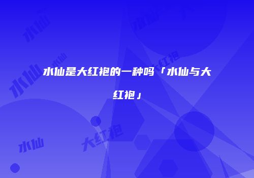 水仙是大红袍的一种吗「水仙与大红袍」