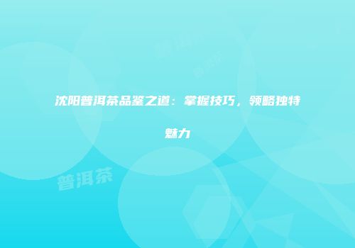 沈阳普洱茶品鉴之道：掌握技巧，领略独特魅力