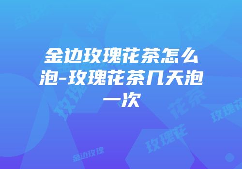 金边玫瑰花茶怎么泡-玫瑰花茶几天泡一次