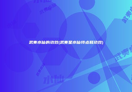 武夷水仙的功效(武夷星水仙特点和功效)