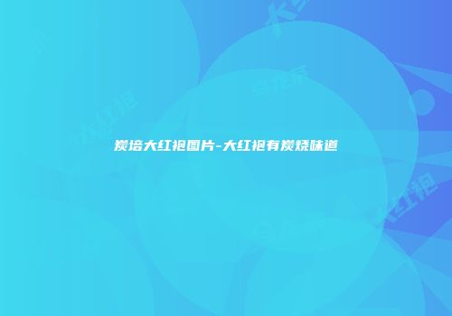 炭培大红袍图片-大红袍有炭烧味道